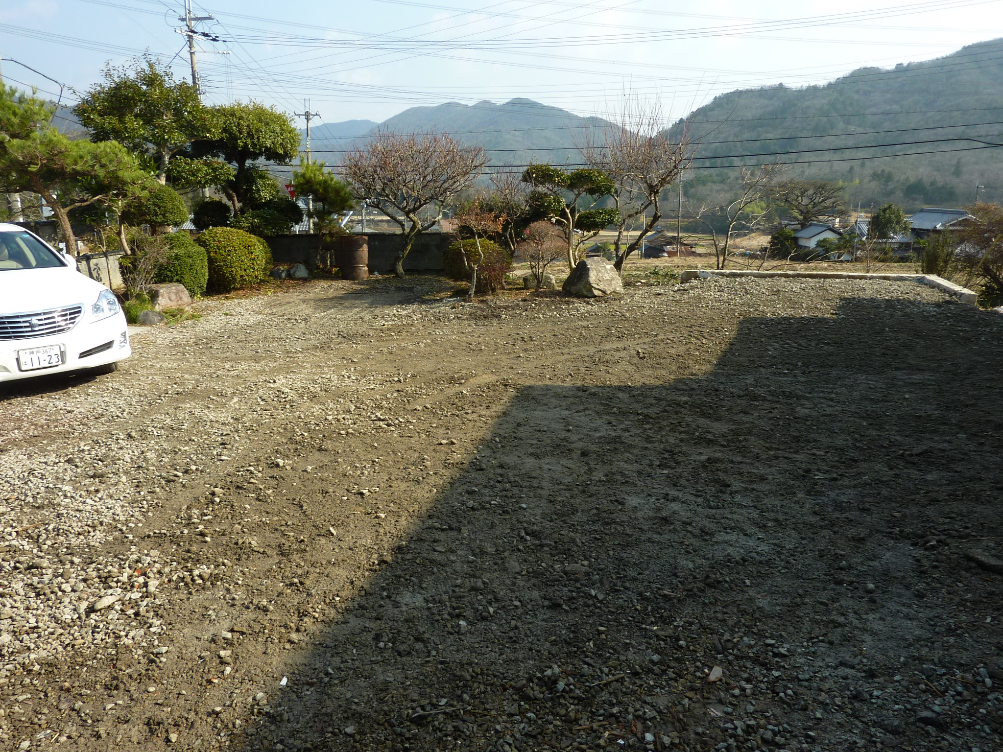 P1090356.JPG