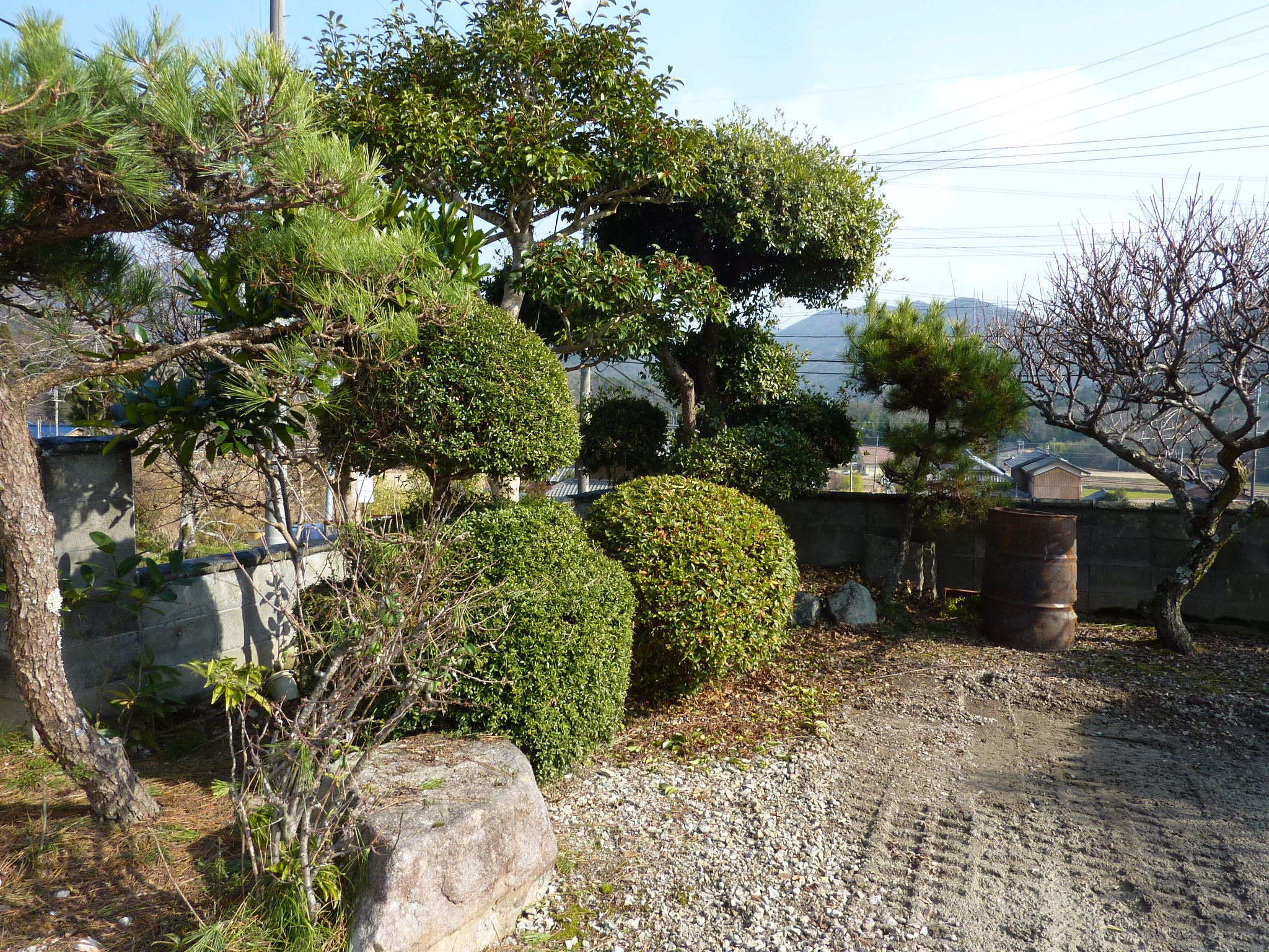 P1090363.JPG