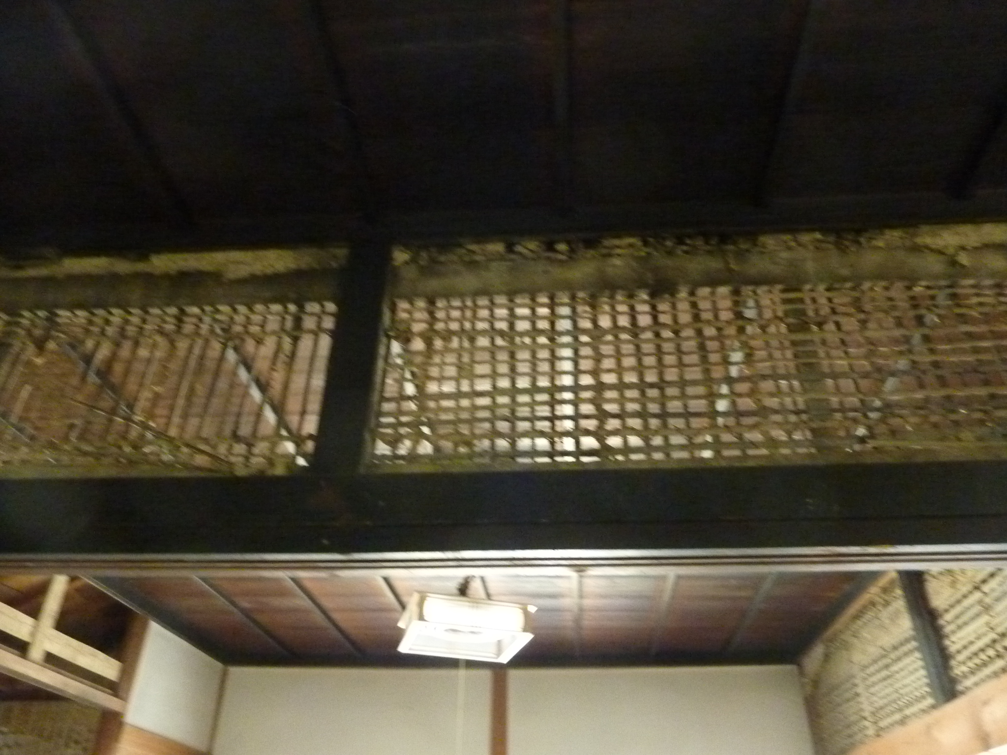 P1090376.JPG