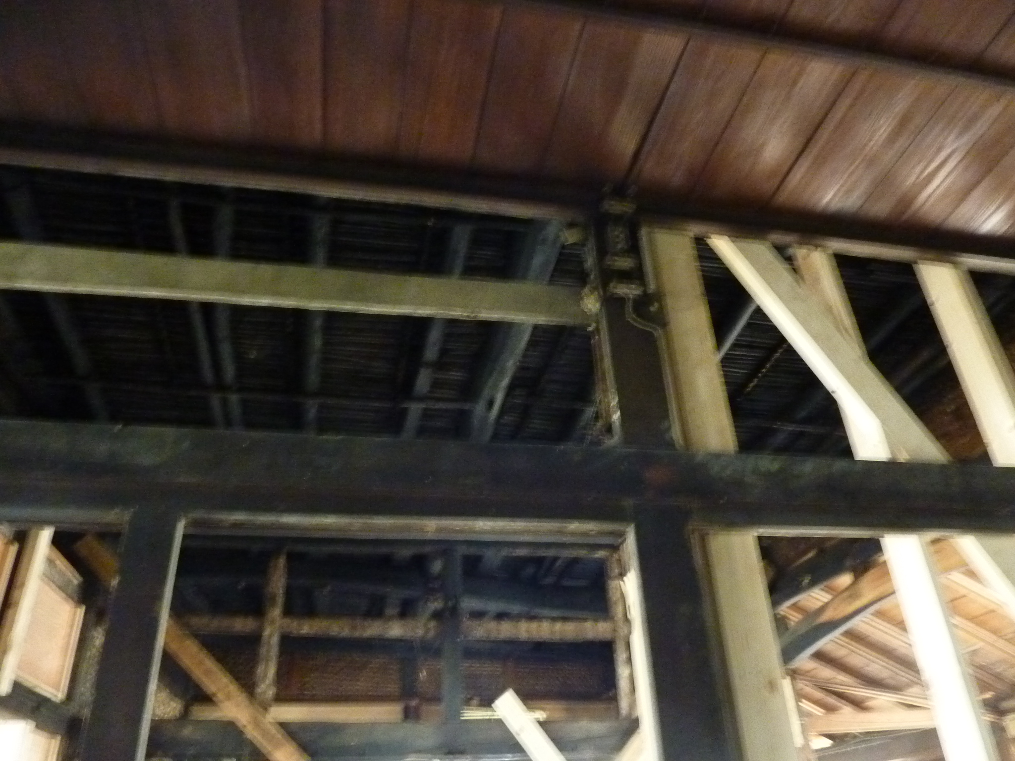 P1090377.JPG