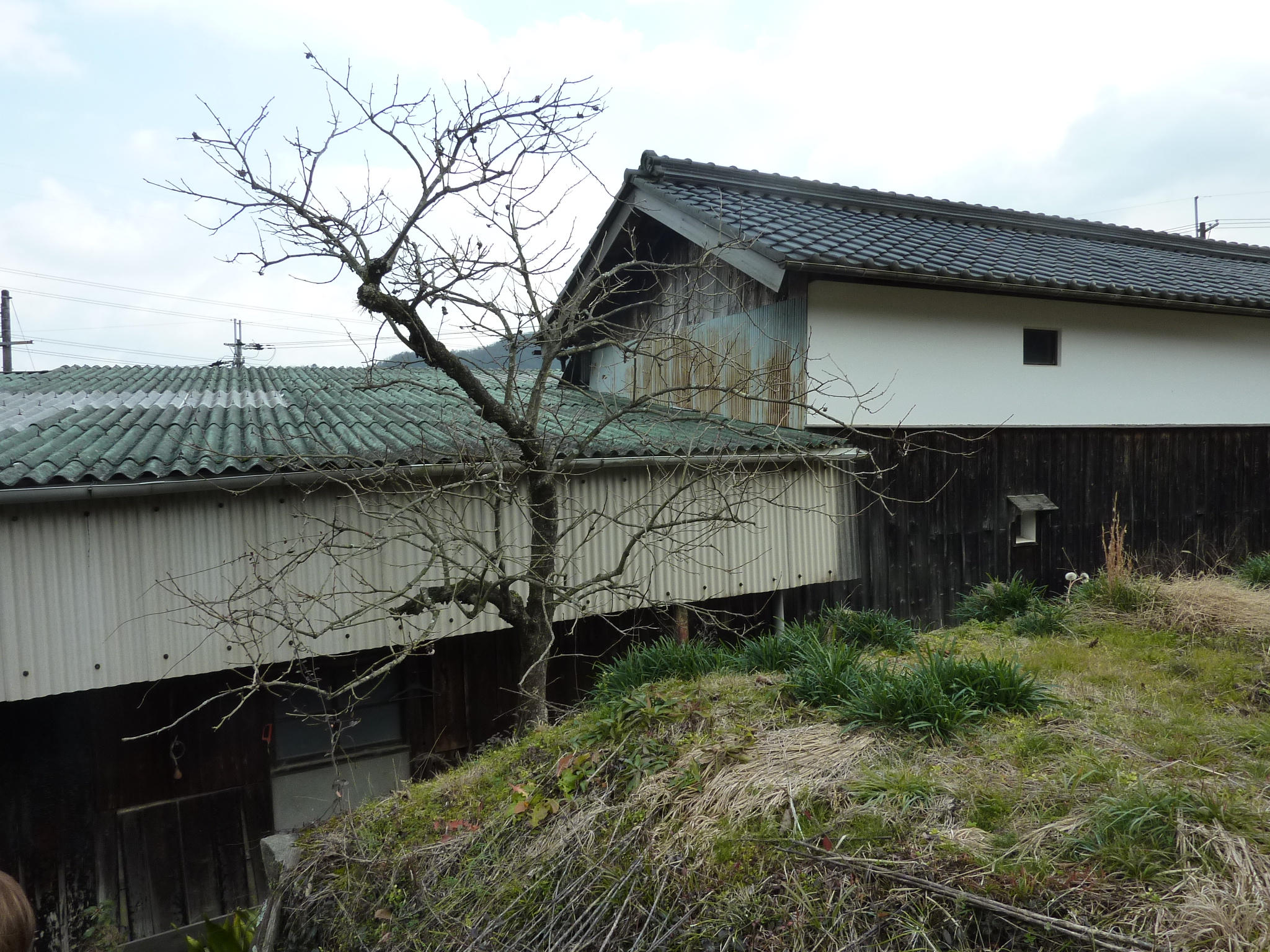 P1090406.JPG