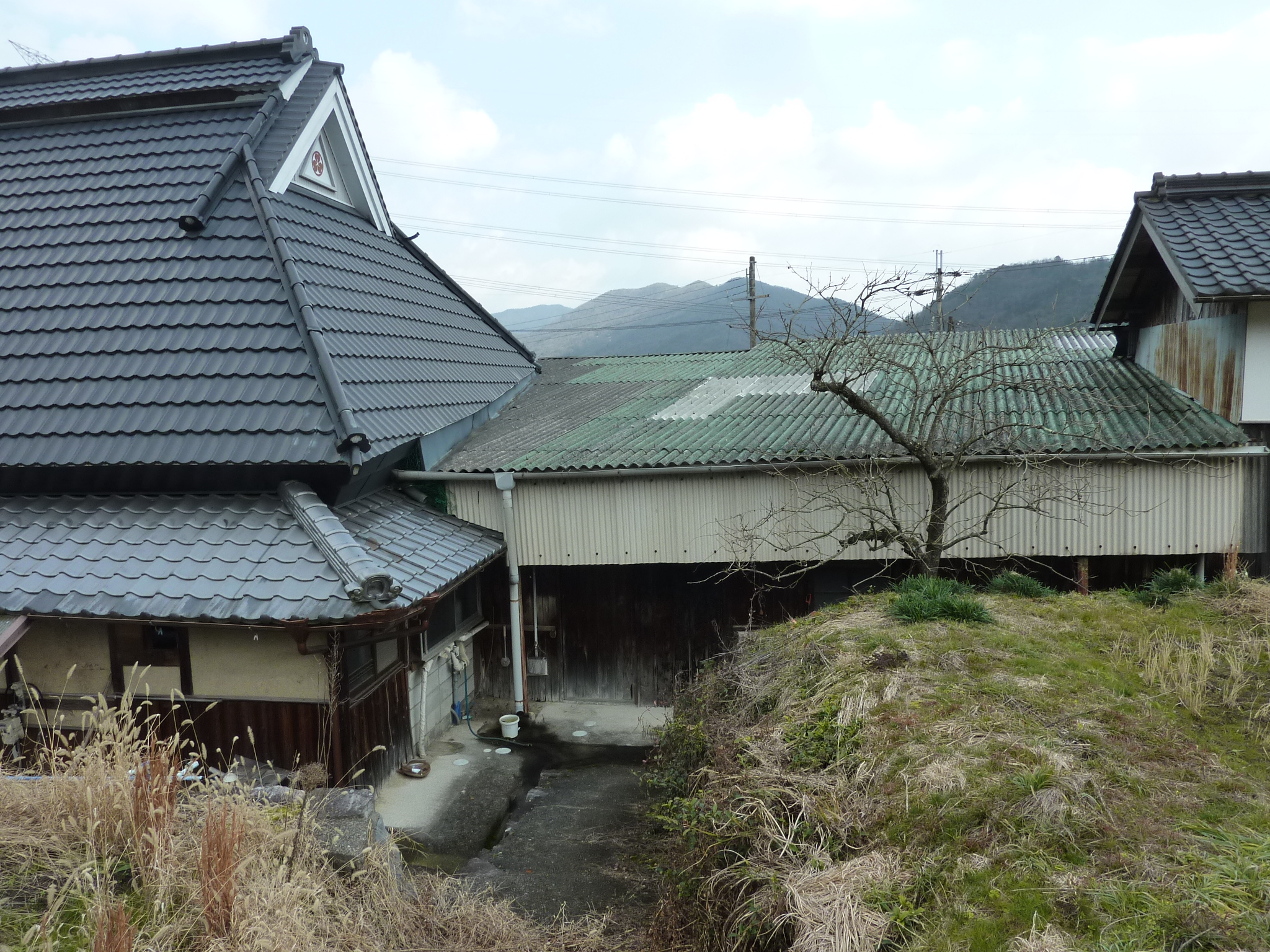 P1090407.JPG
