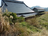 img0008.jpg