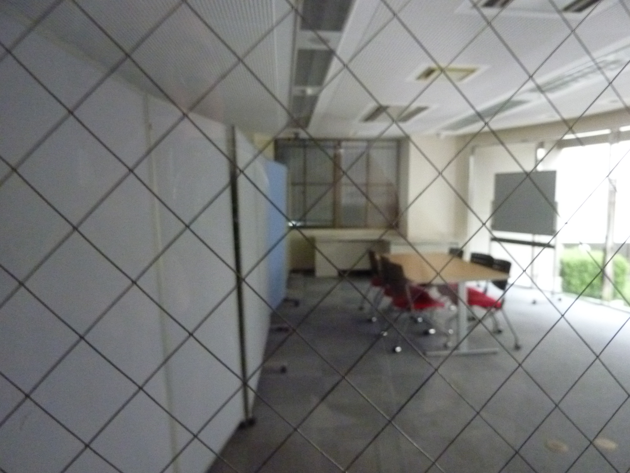 P1090437.JPG