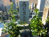img0003.jpg