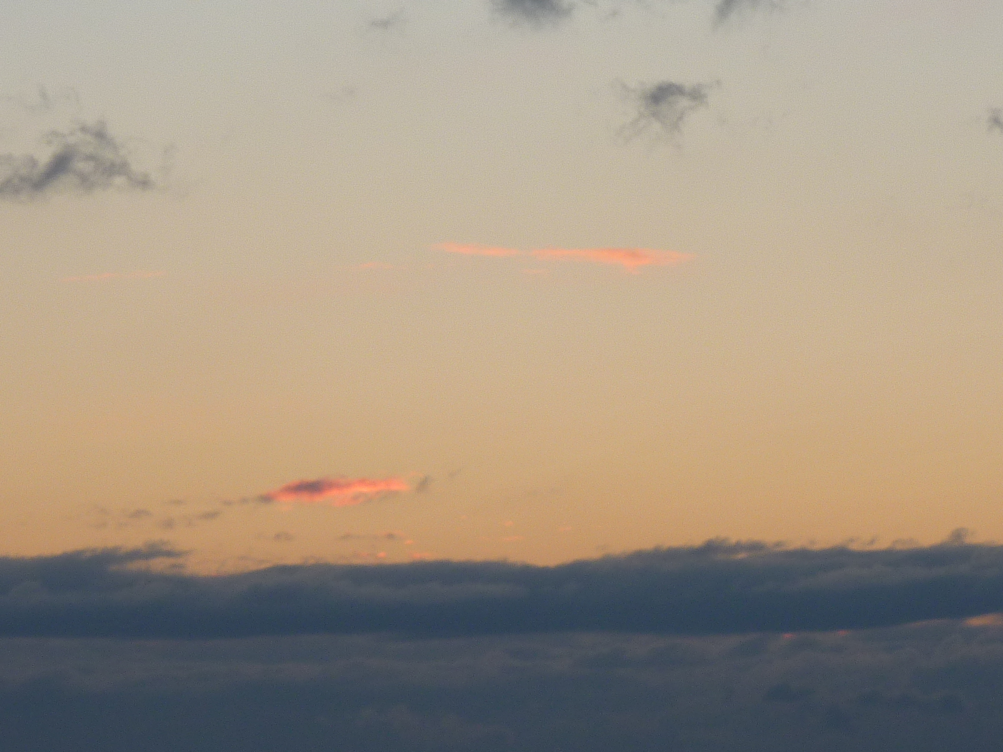 P1090548.JPG