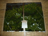 img0018.jpg