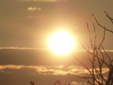 img0037.jpg