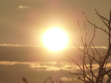 img0038.jpg