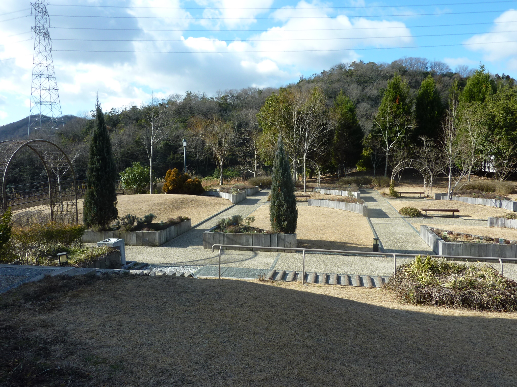 P1090761.JPG