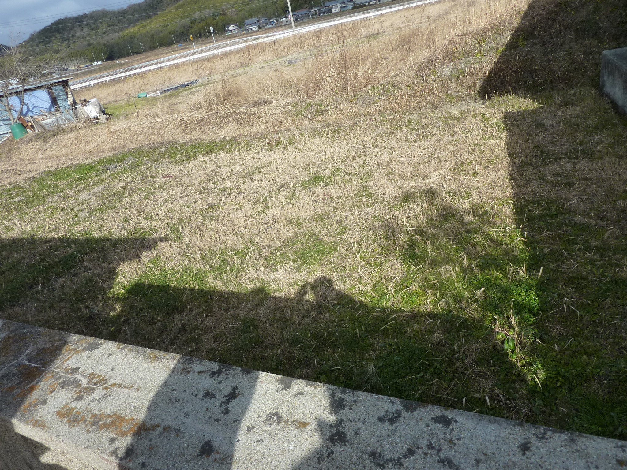 P1090764.JPG