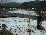 img0019.jpg