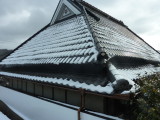 img0020.jpg