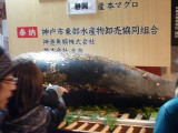 img0005.jpg