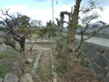 img0013.jpg