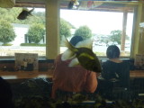 img0026.jpg