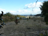 img0029.jpg
