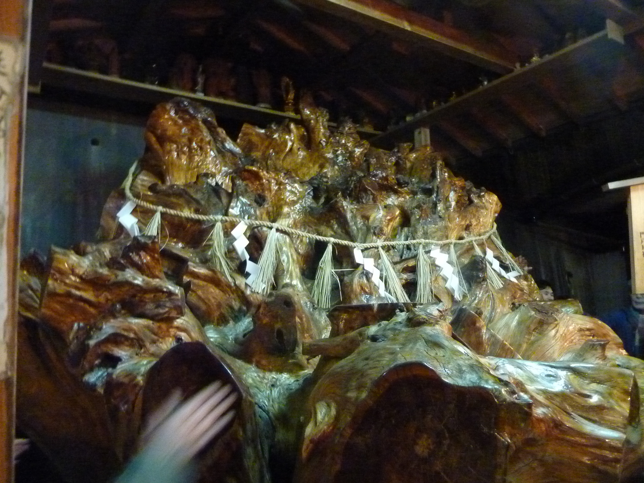 P1090929.JPG