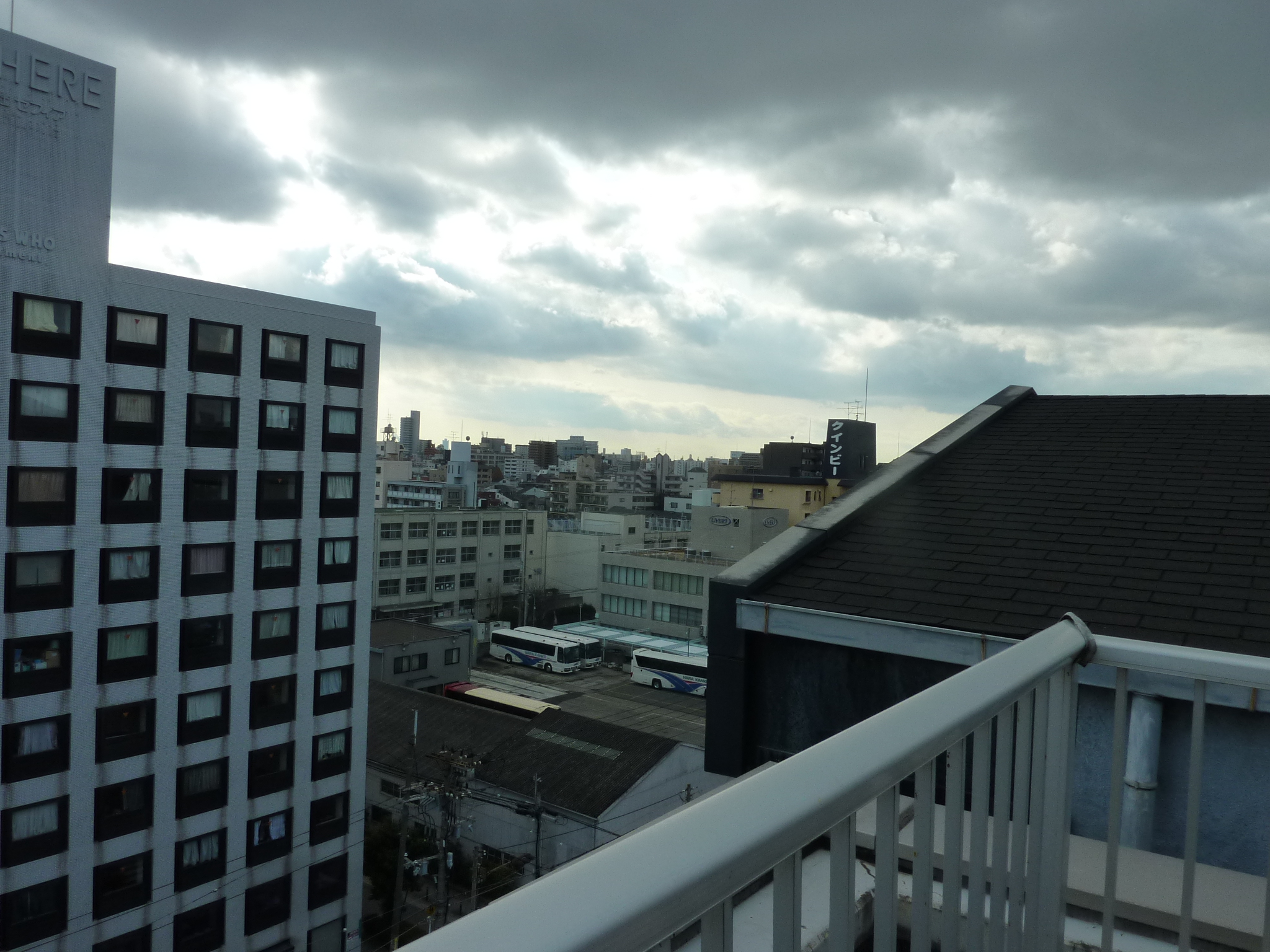 P1100195.JPG