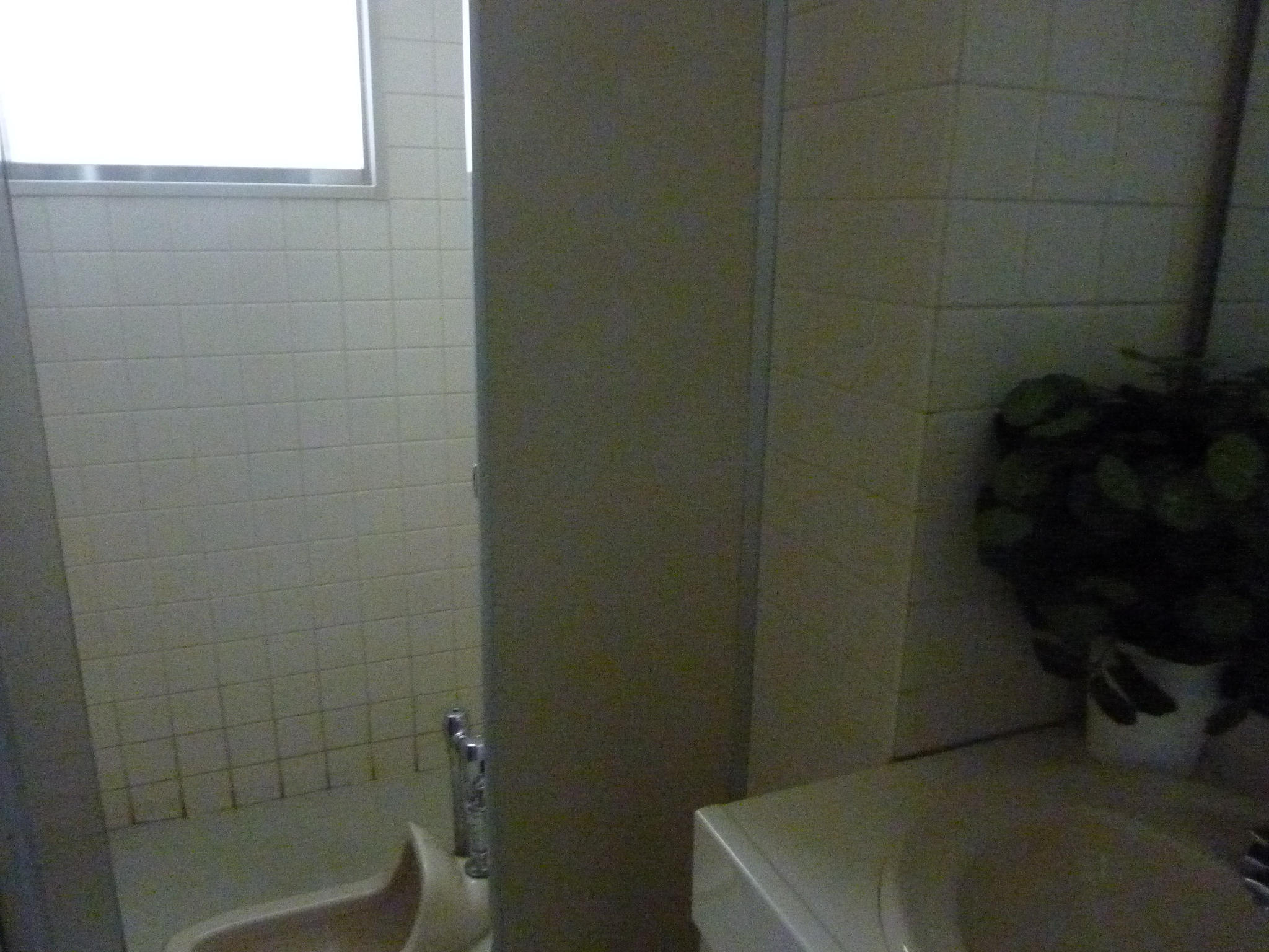 P1100202.JPG