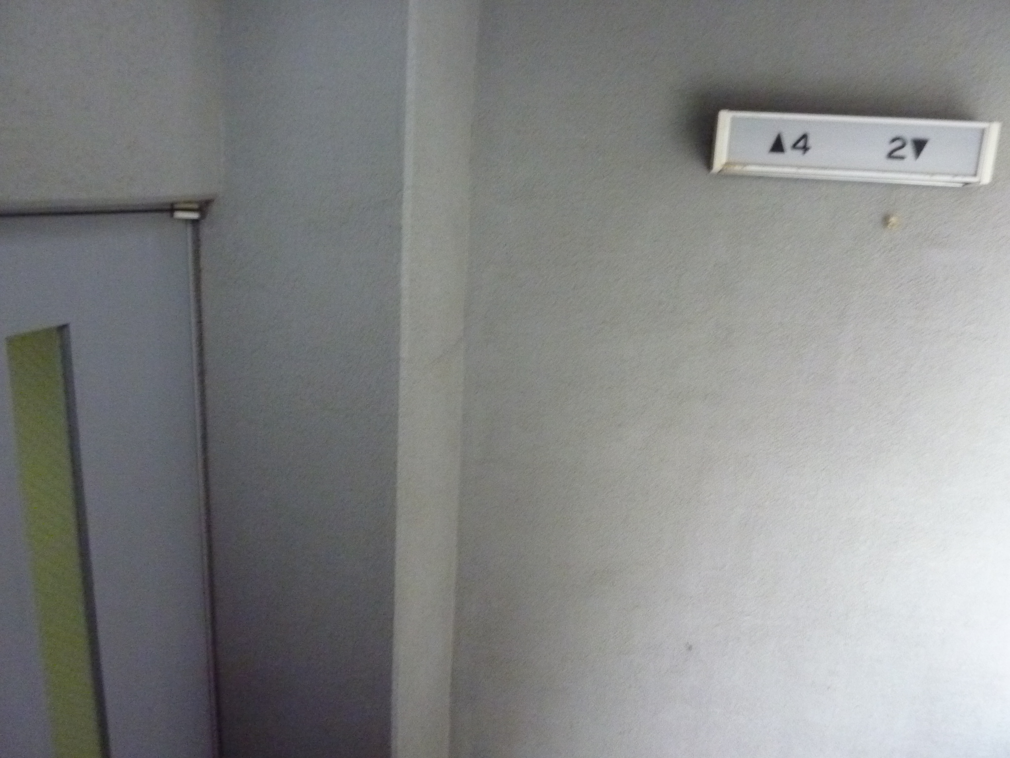 P1100213.JPG