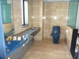 img0051.jpg