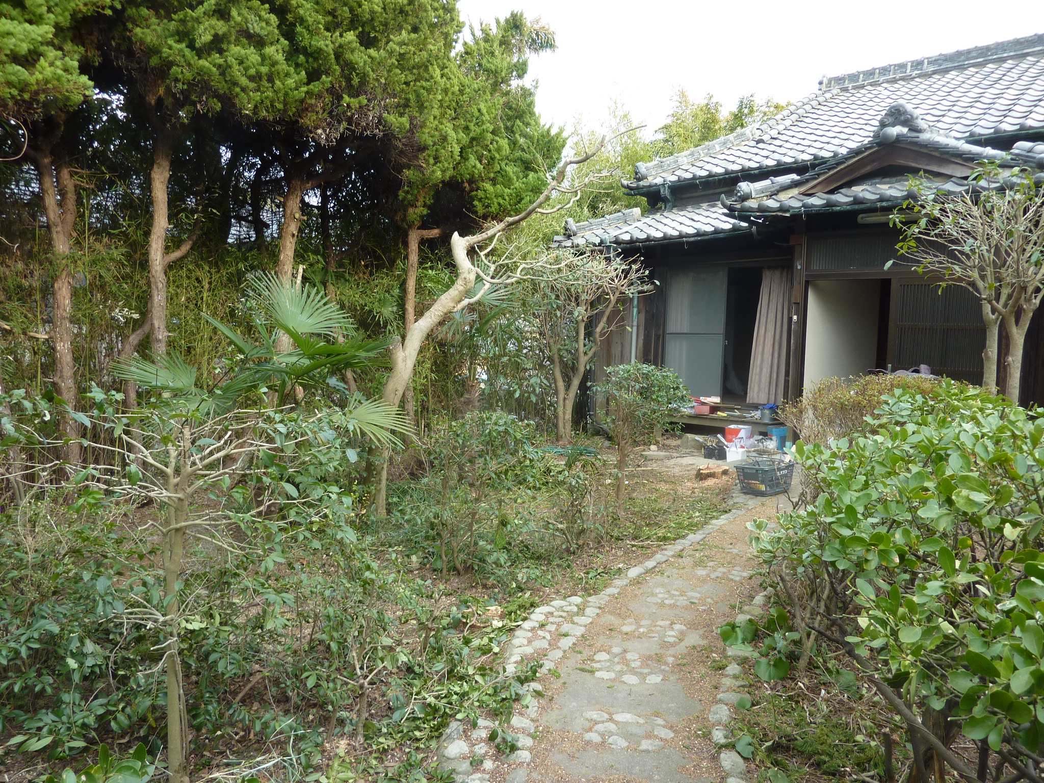 P1100270.JPG