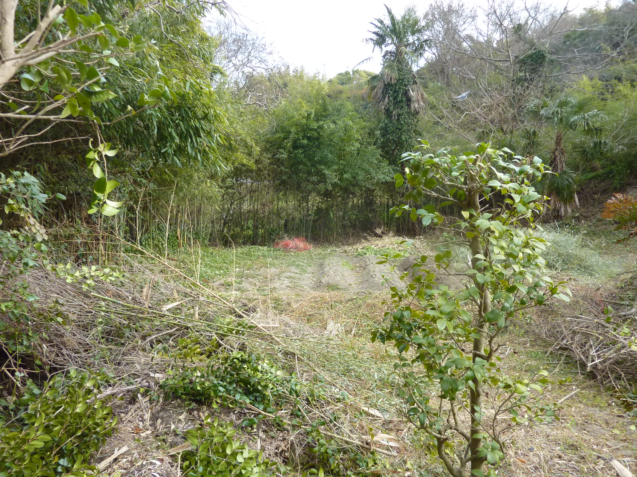 P1100284.JPG