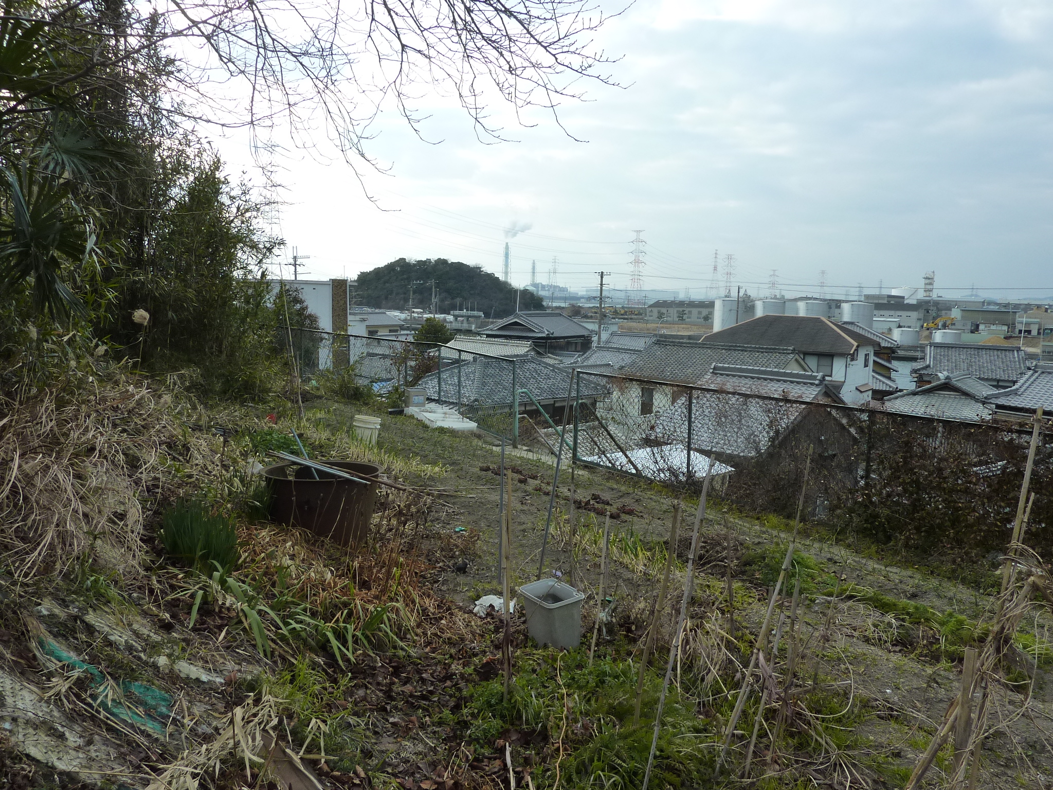 P1100290.JPG