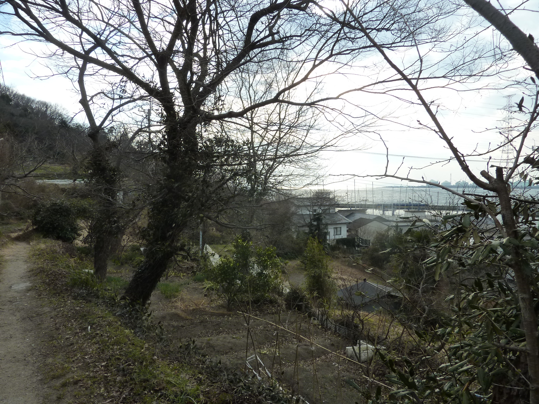 P1100292.JPG