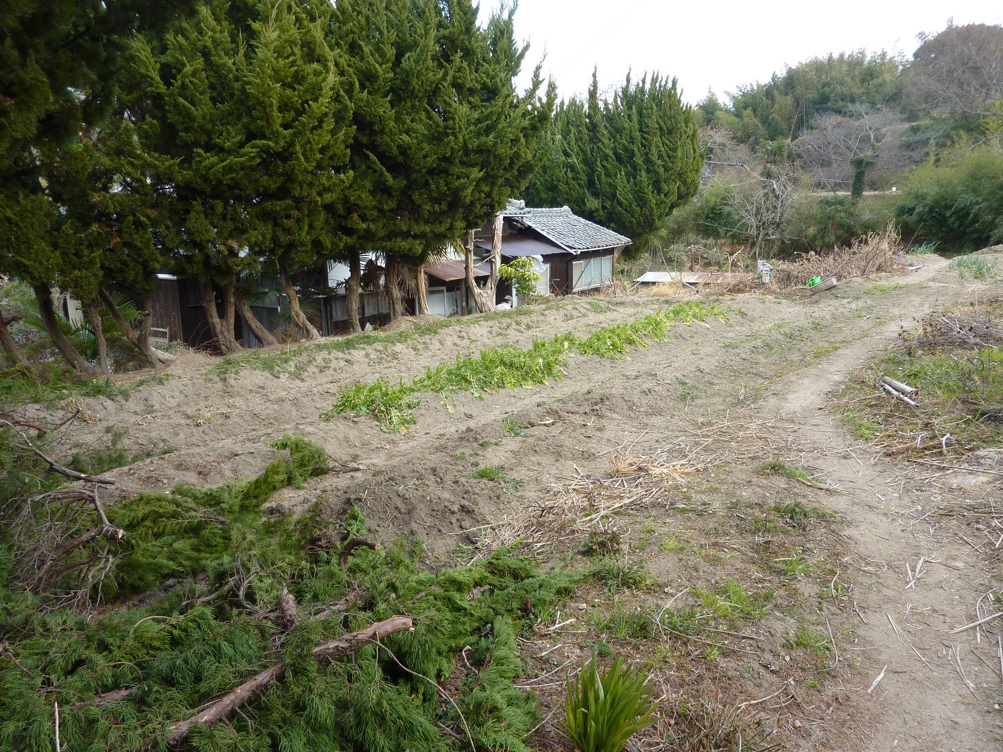 P1100293.JPG