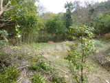 img0019.jpg