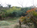img0021.jpg