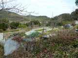 img0025.jpg