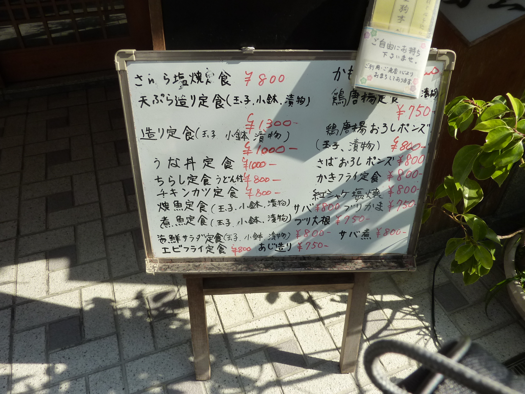 P1100299.JPG