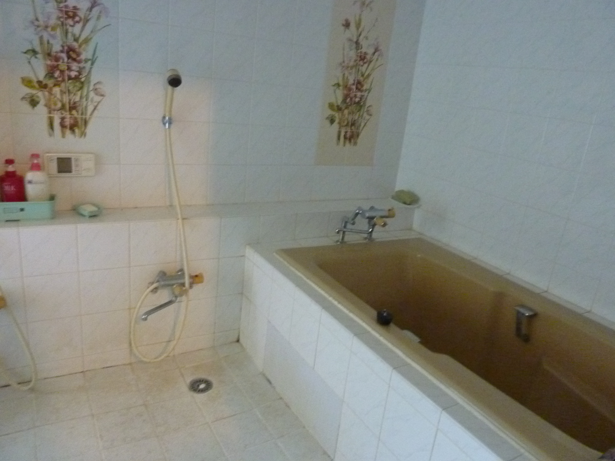 P1100316.JPG