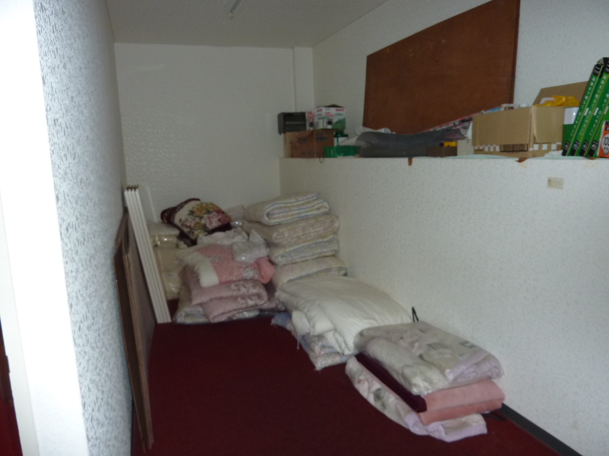 P1100323.JPG