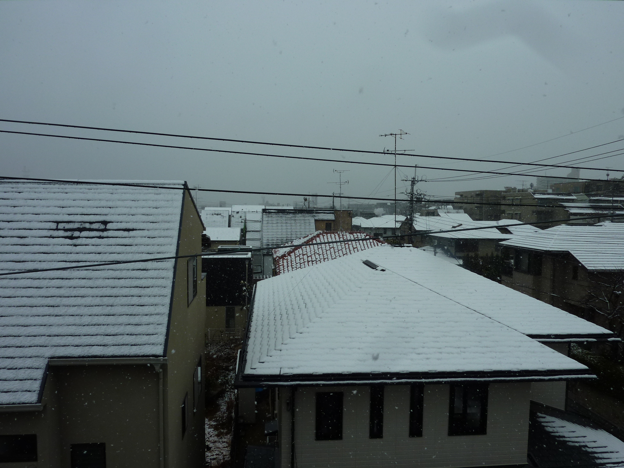 P1100713.JPG
