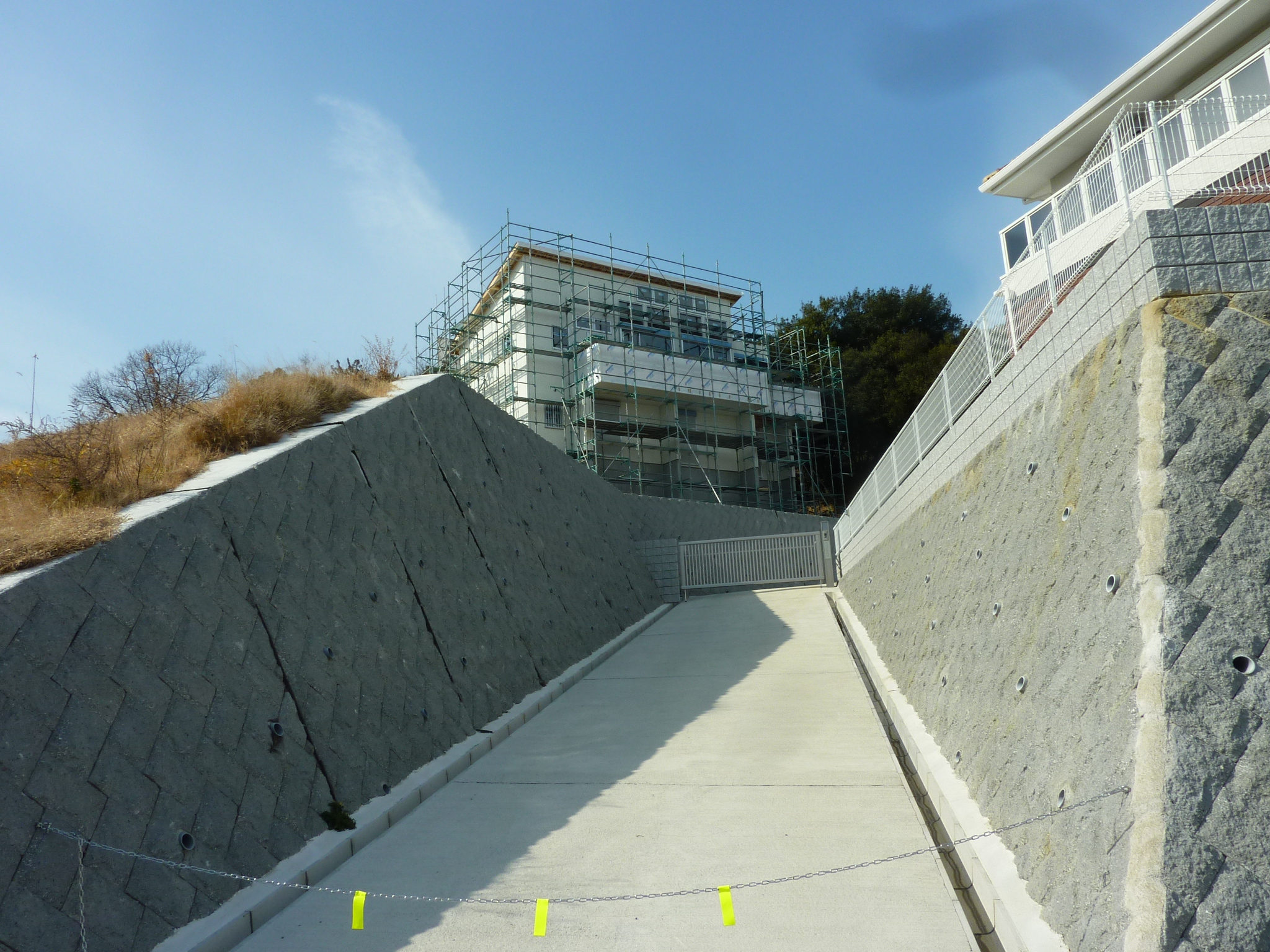 P1100756.JPG