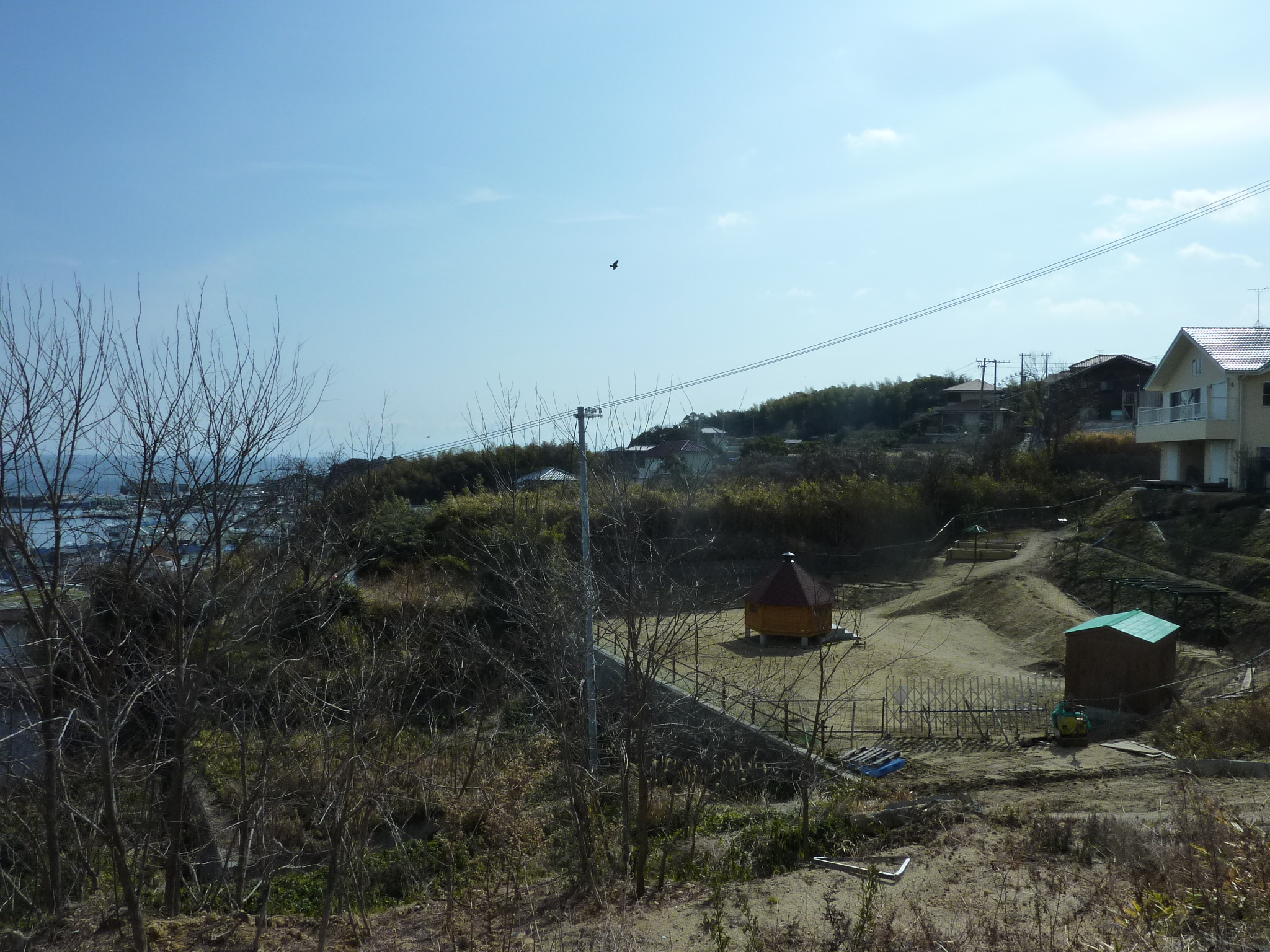 P1100760.JPG