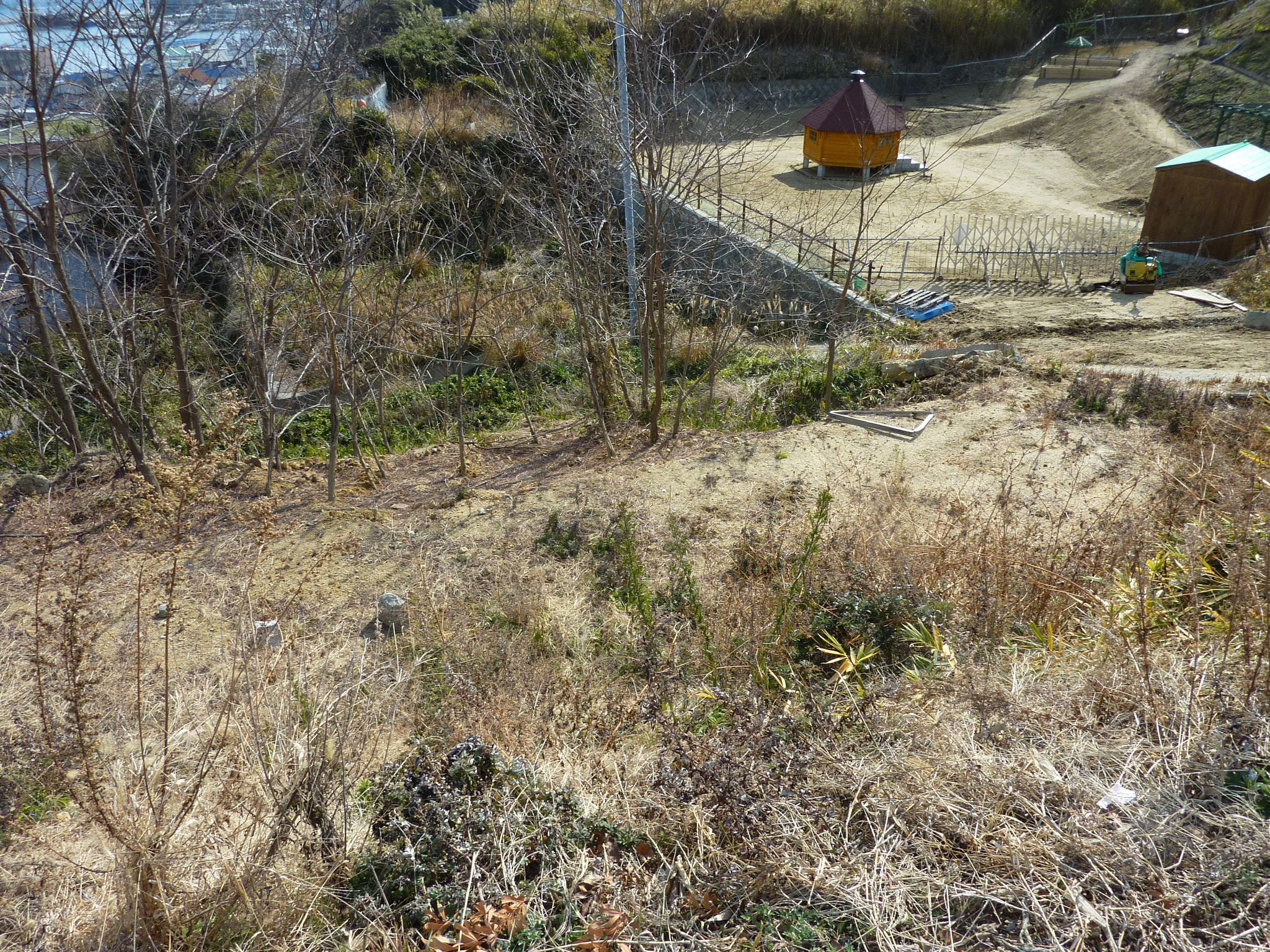 P1100761.JPG
