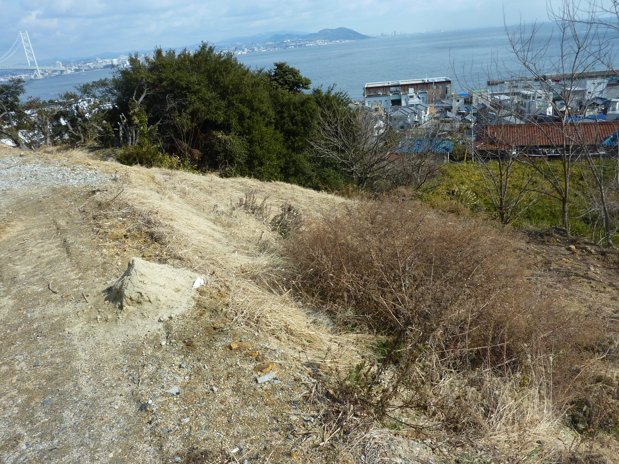 P1100762.JPG