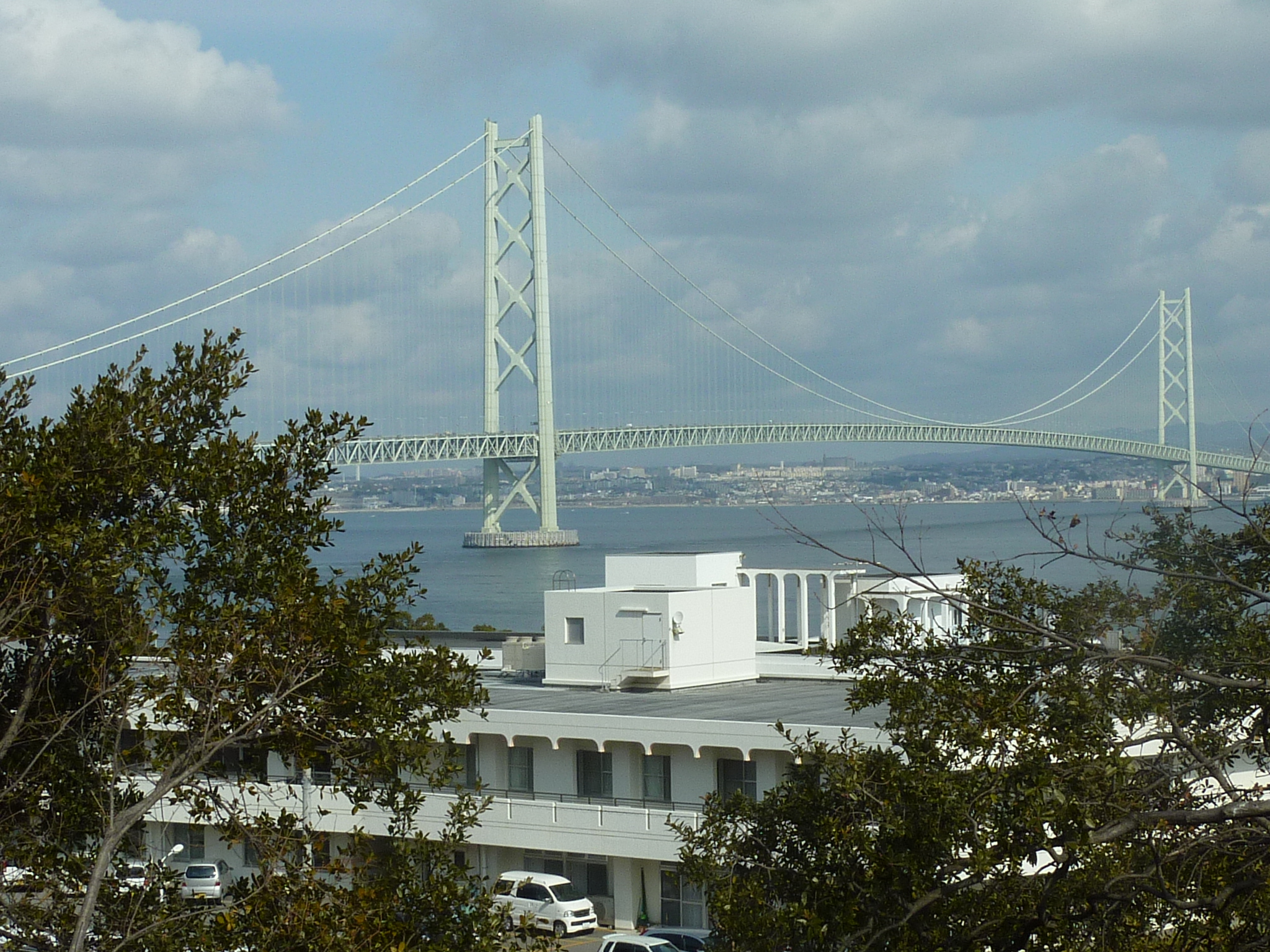 P1100767.JPG