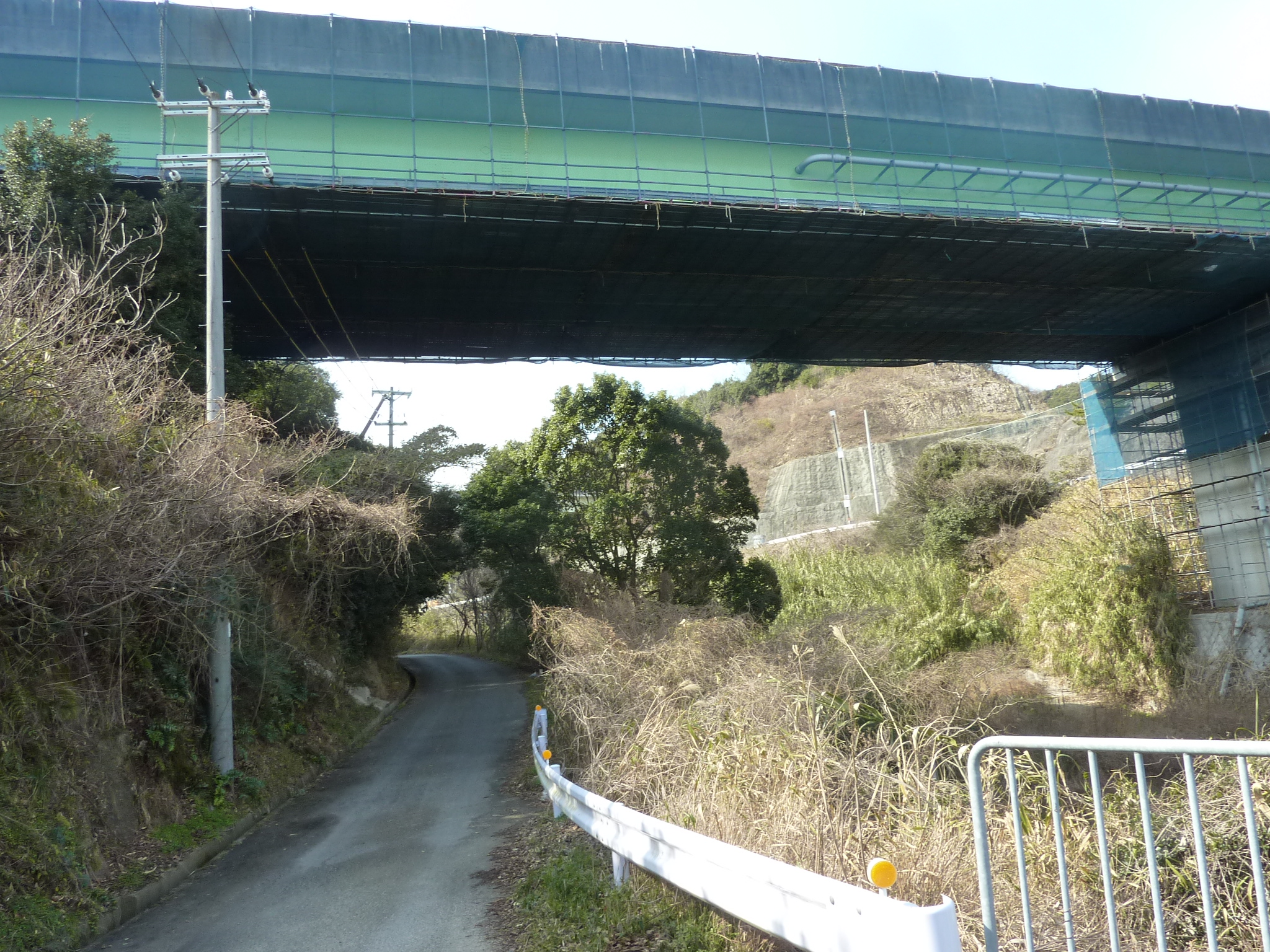 P1100769.JPG