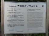 img0024.jpg
