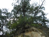 img0025.jpg