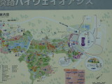 img0031.jpg