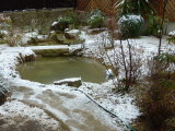 img0003.jpg