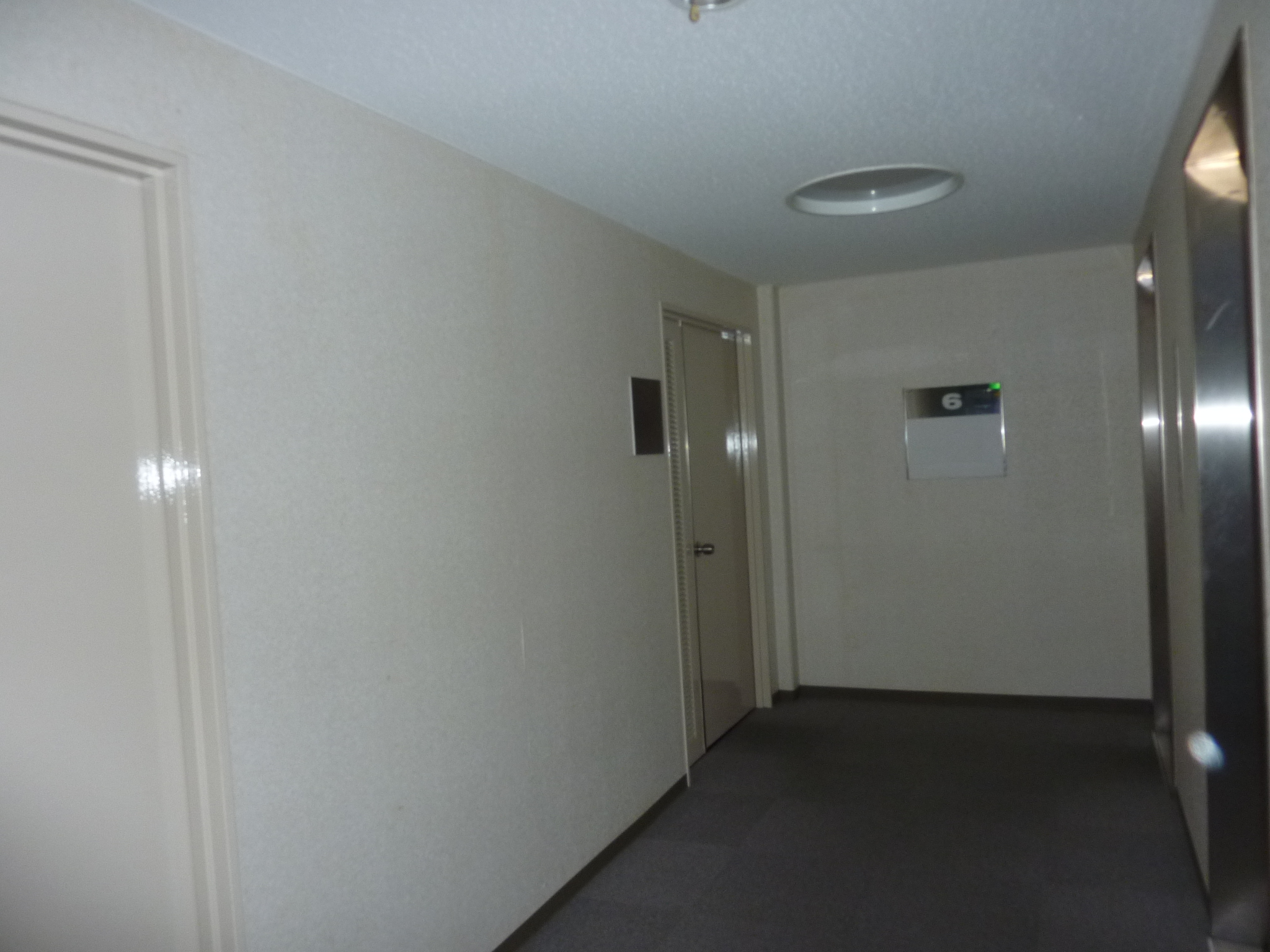P1100800.JPG