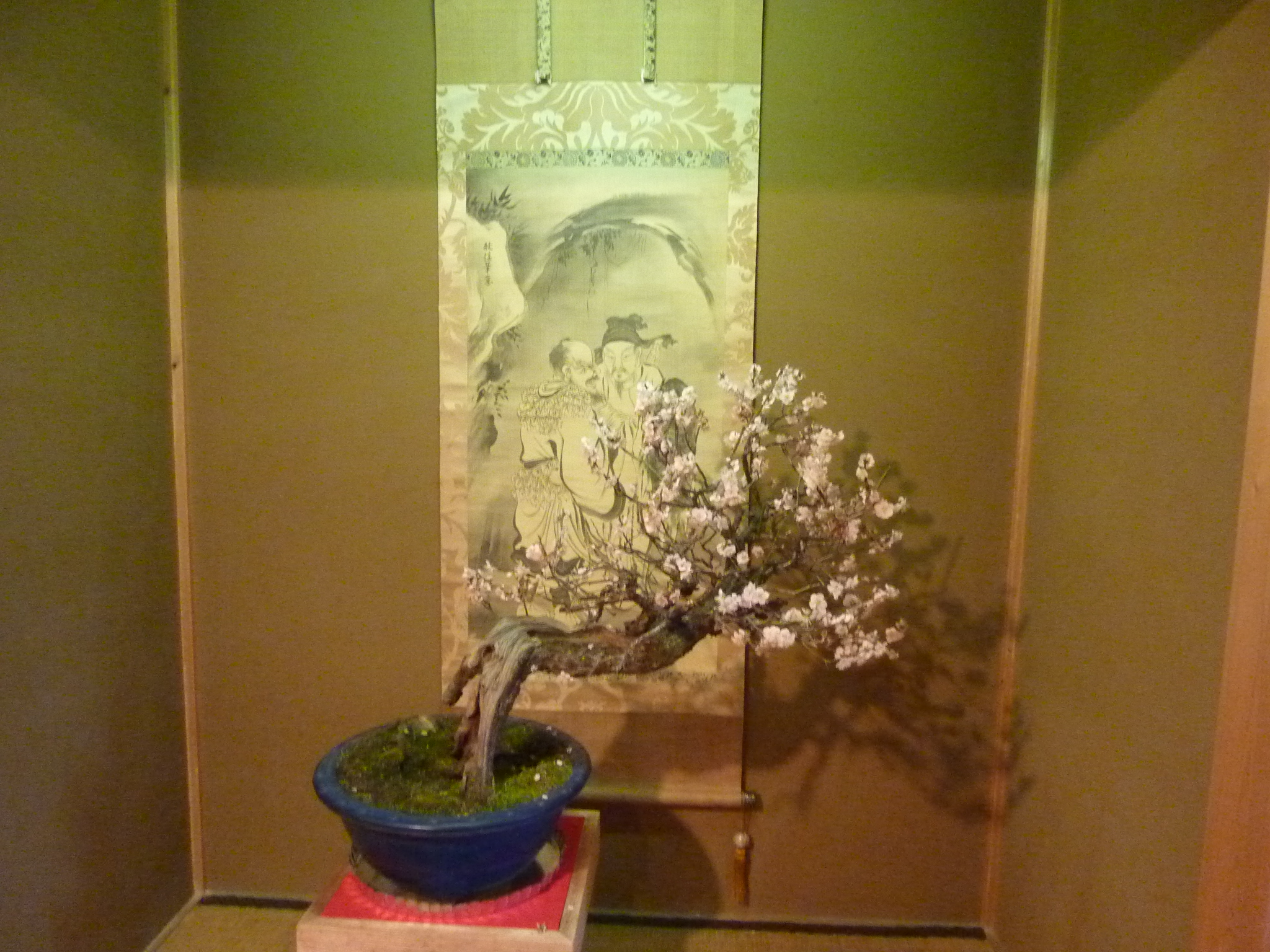 P1100939.JPG